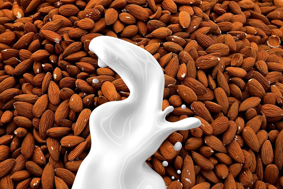 Free photos of Almond milk