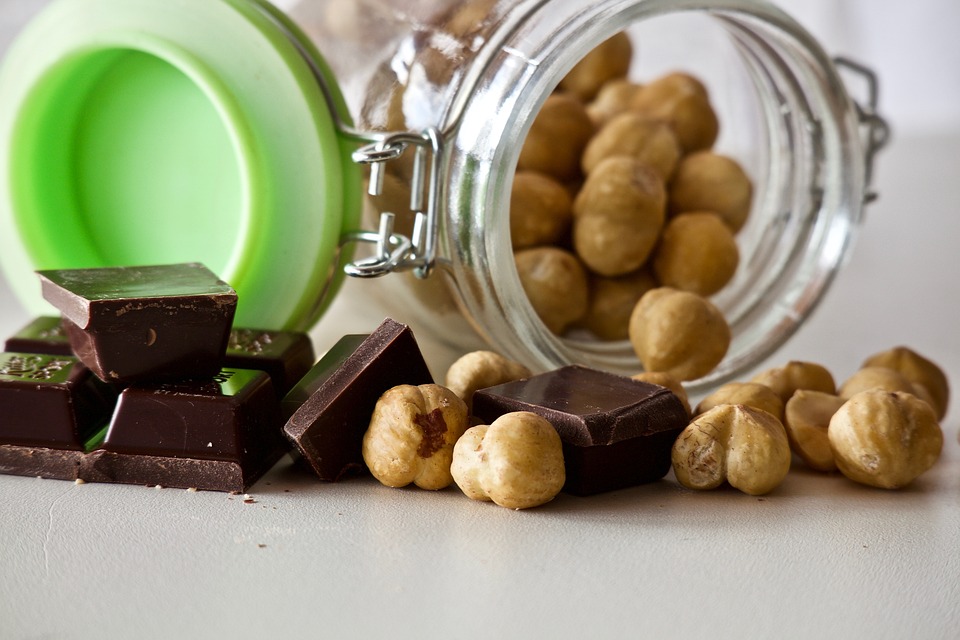 Free Hazelnuts Chocolate photo and picture