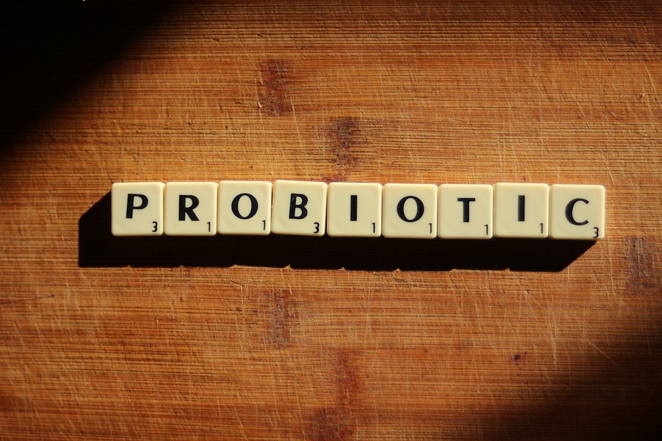 Free photos of Probiotic