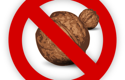 Free vector graphics of Tree nut
