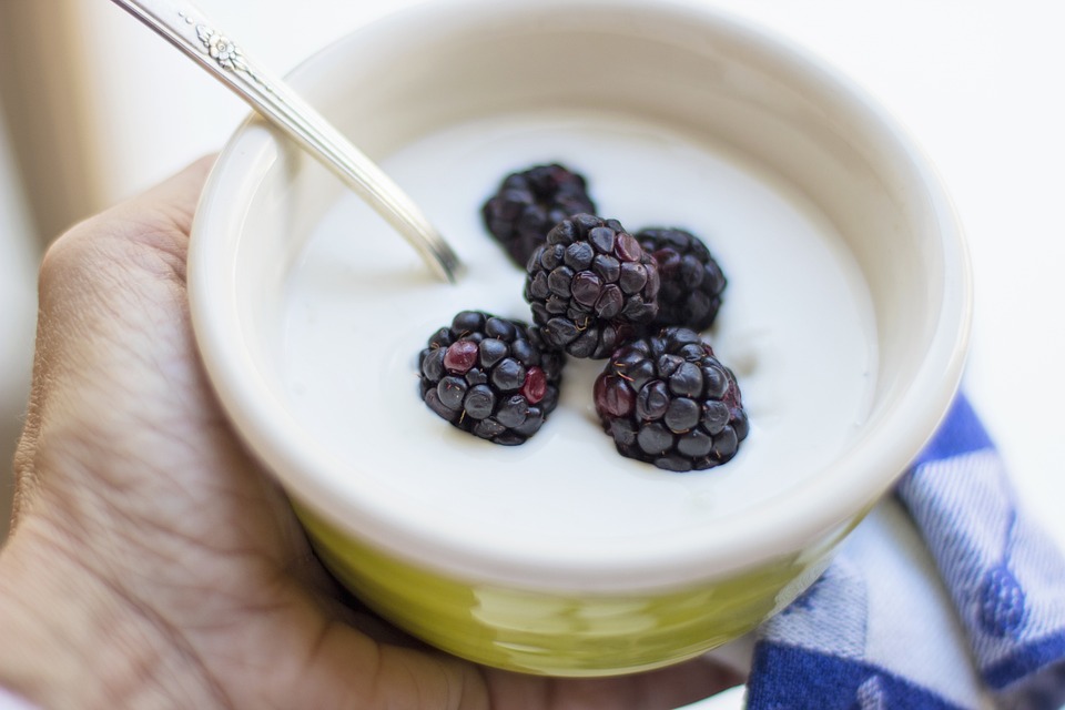 Free photos of Yogurt